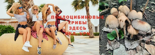 apvp Нягань