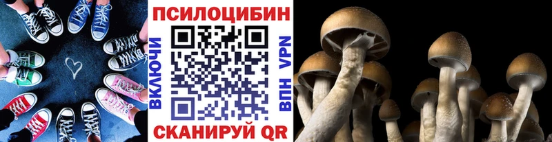 kraken tor  Шахунья  Галлюциногенные грибы ЛСД 
